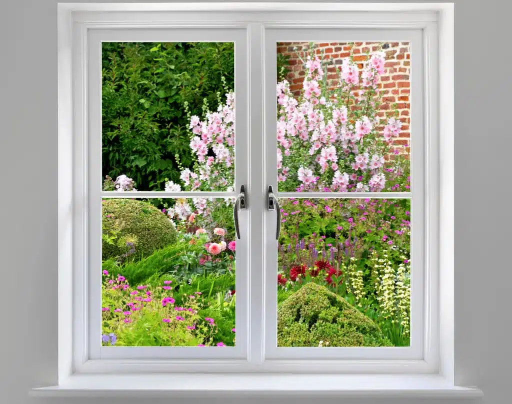 A window with the view of flowers outside.